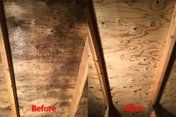 water damage restoration service Paramount-Long Meadow